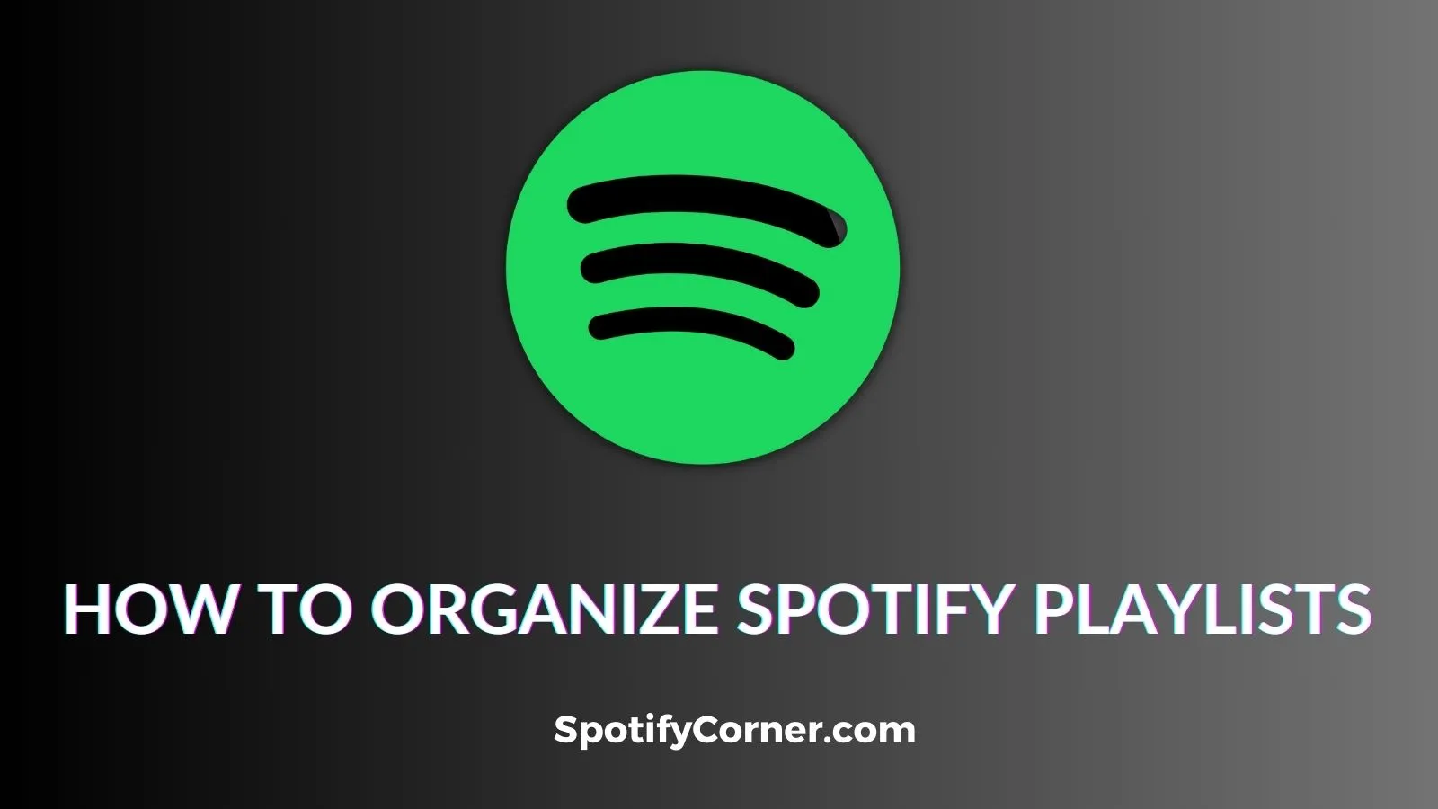 Organize Shopify Playlist Banner.webp